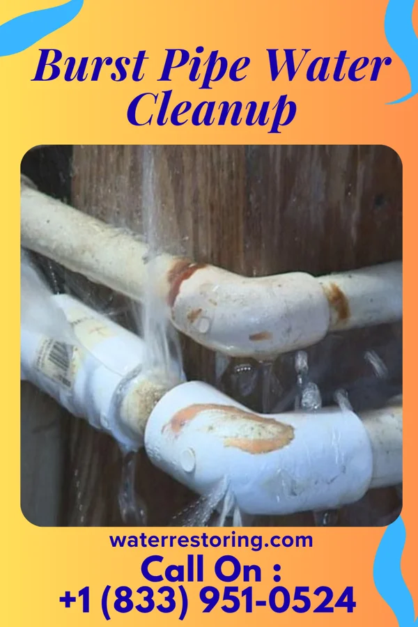 Burst Pipe Water Cleanup in Kickapoo Tribal Center, KS