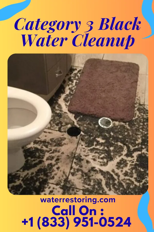 Category 3 Black Water Cleanup in Kickapoo Tribal Center, KS